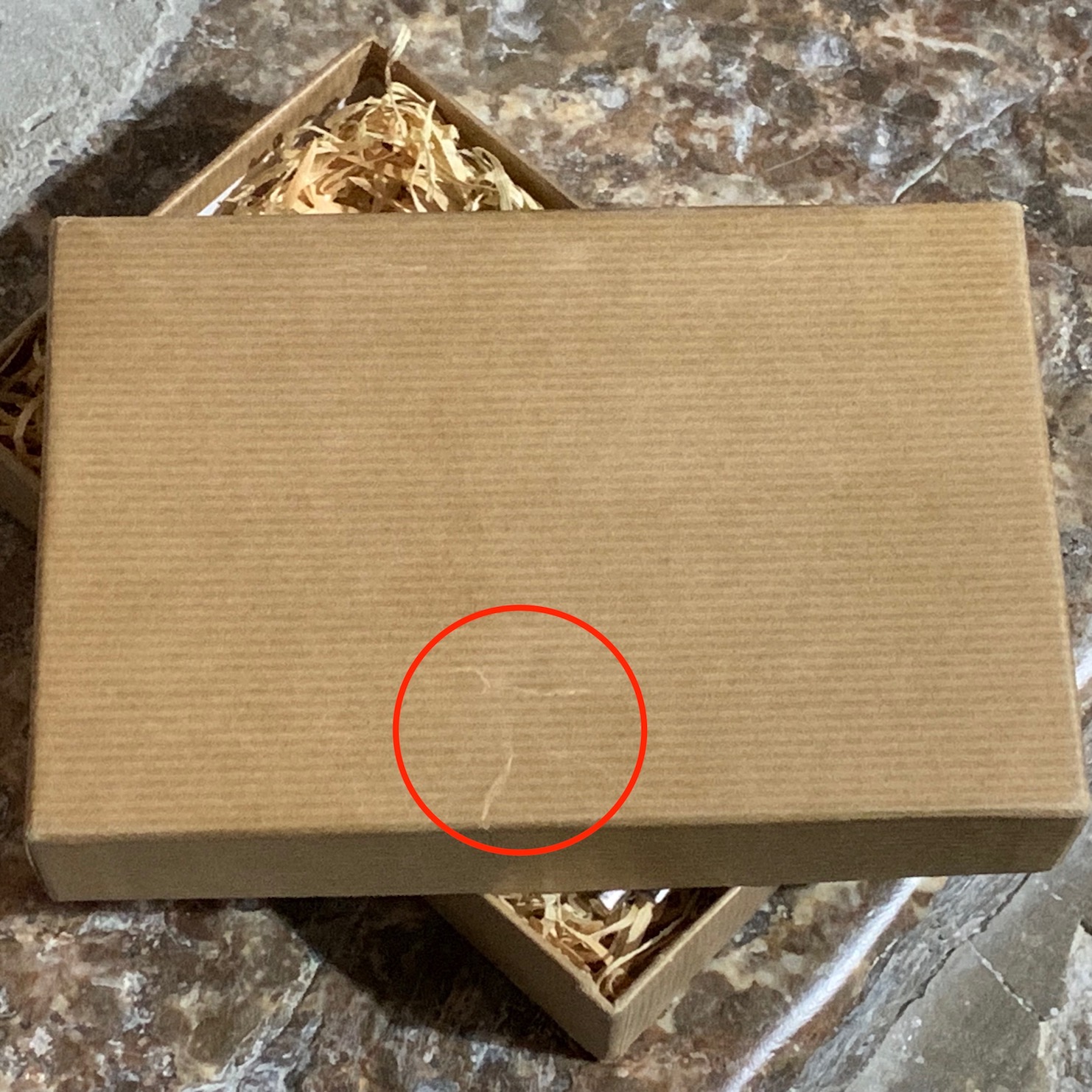 T9 Popplock by Rainer Popp