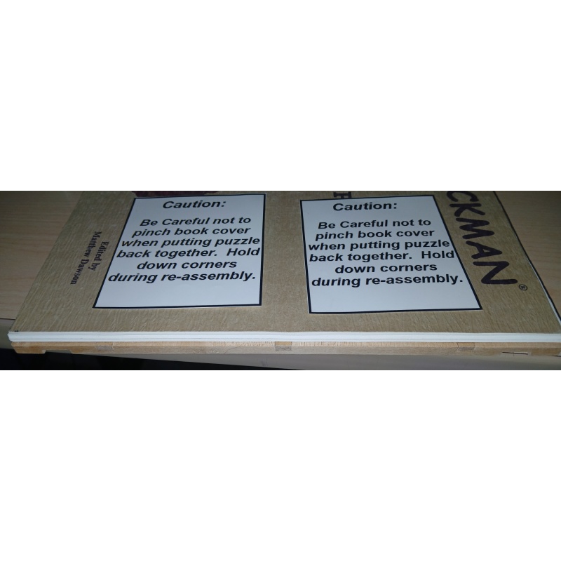 Stickman Milestone Puzzle Book