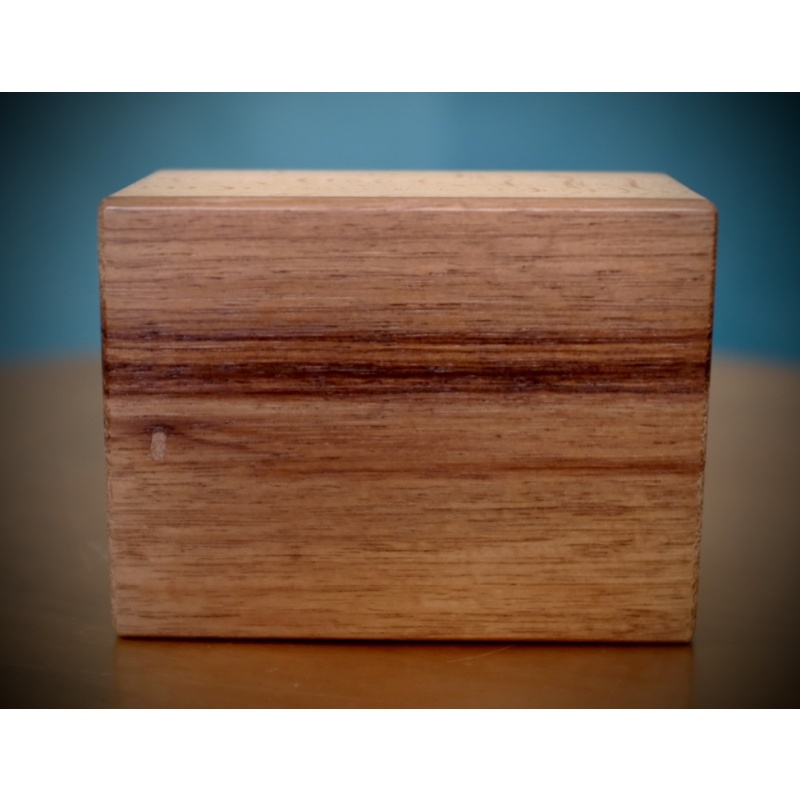 Spirit Box by Dedwood Crafts