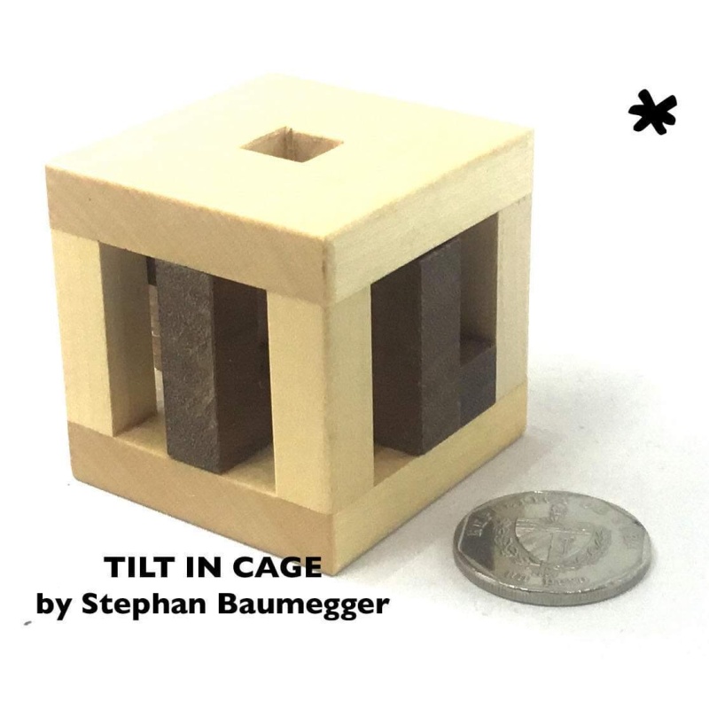 Tilt in Cage by Stephan Baumegger