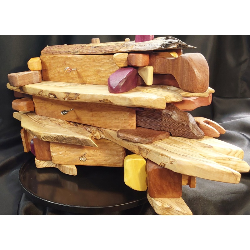 The Driftwood's Journey