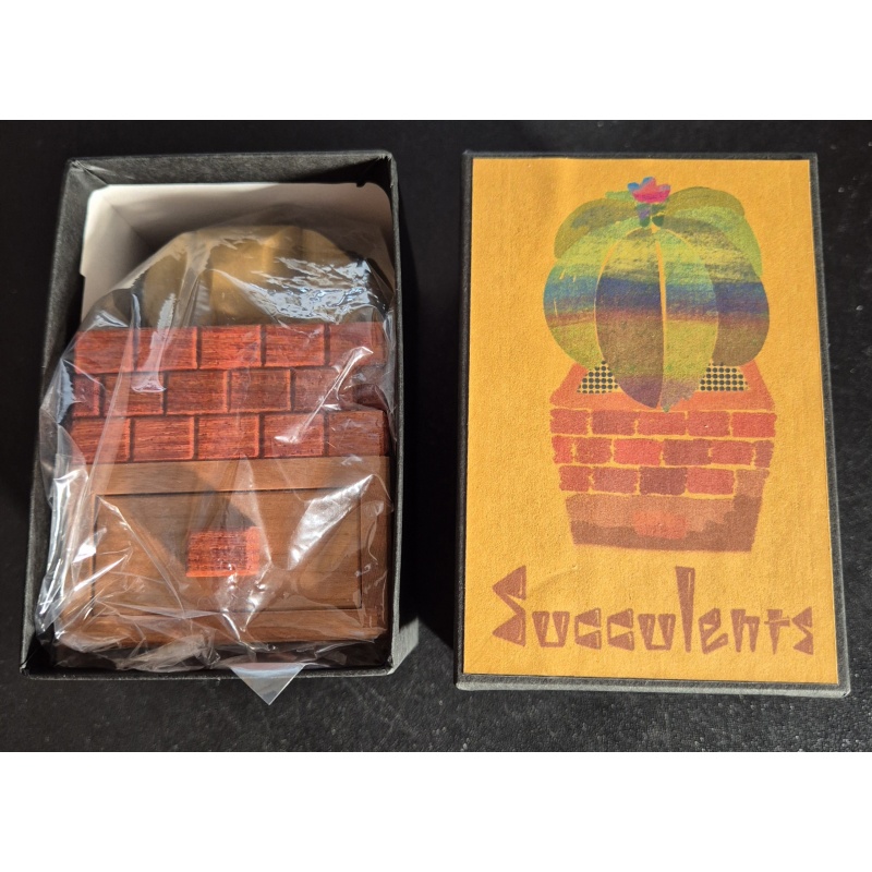 Karakuri - Succulents - Yasuaki Kikuchi