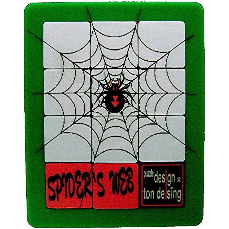 SPIDERS WEB (c) Ton Delsing