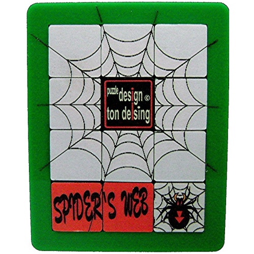 SPIDERS WEB (c) Ton Delsing