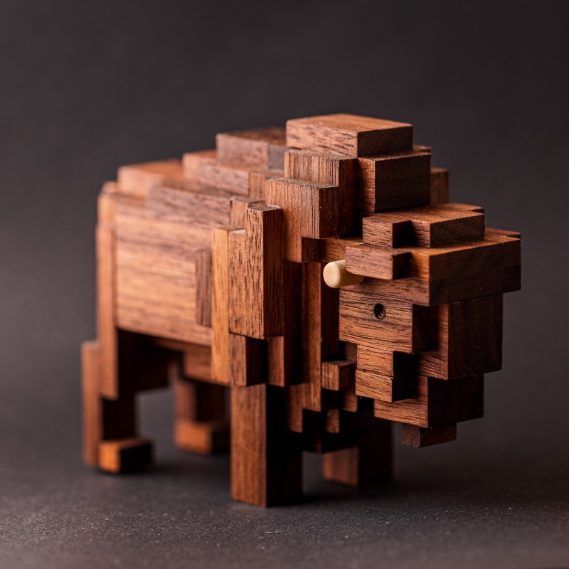 Bison by Jack Krjnen
