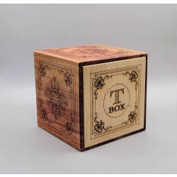 T-Box by Haym Hirsh