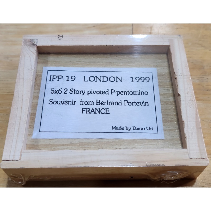 5x6 Story pivoted P Pentomino by Bertrand Portevin IPP19