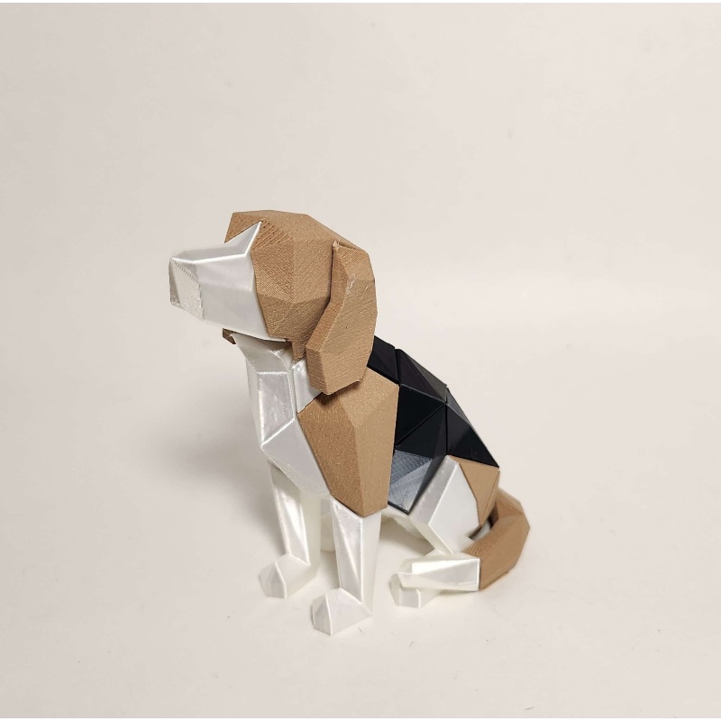 Dog Magnetic Assembly