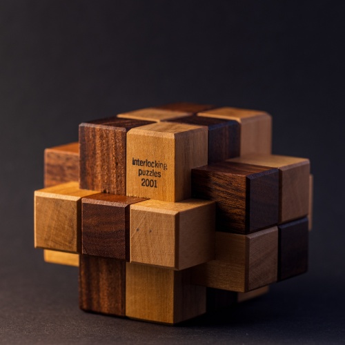 3x4x6 Burr / 13 piece Burr by Interlocking Puzzles( Wayne Daniels )
