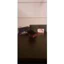 Scion of the Tesseract limited version