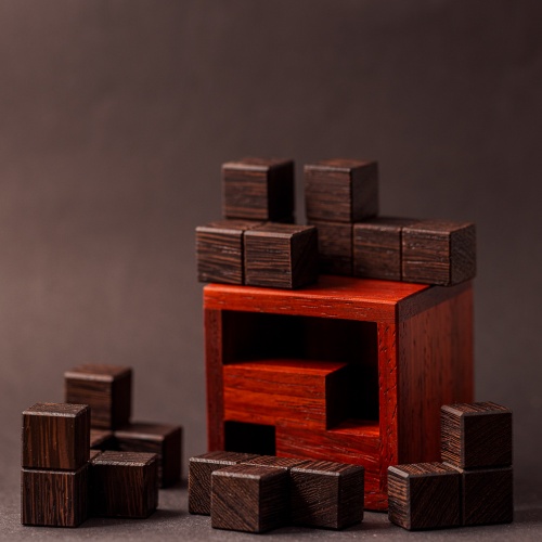 Soma 6 Pack by Lucie Pauwels