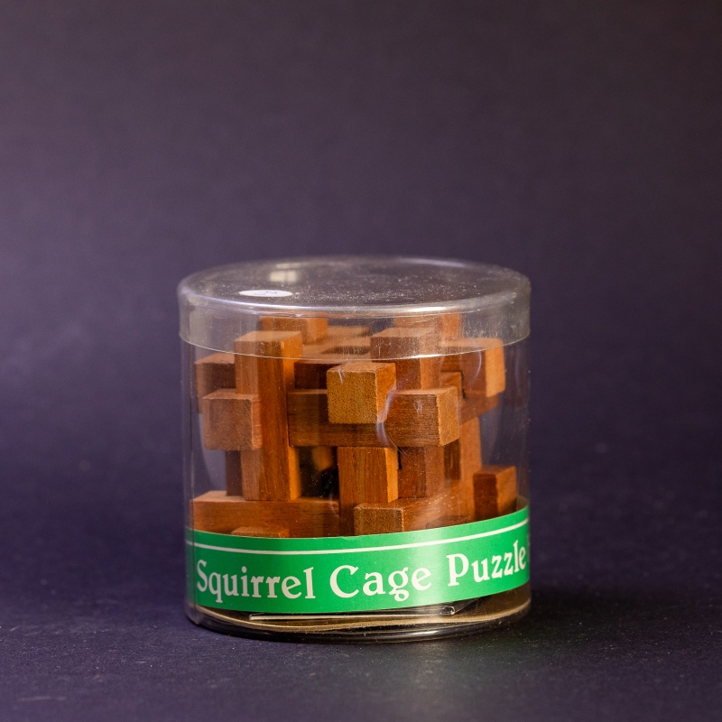 Squirrel Cage by Pentangle