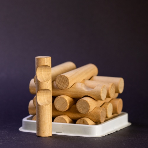 The Game by Dietmar Hartung