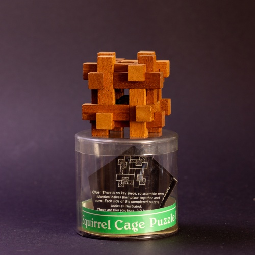 Squirrel Cage by Pentangle