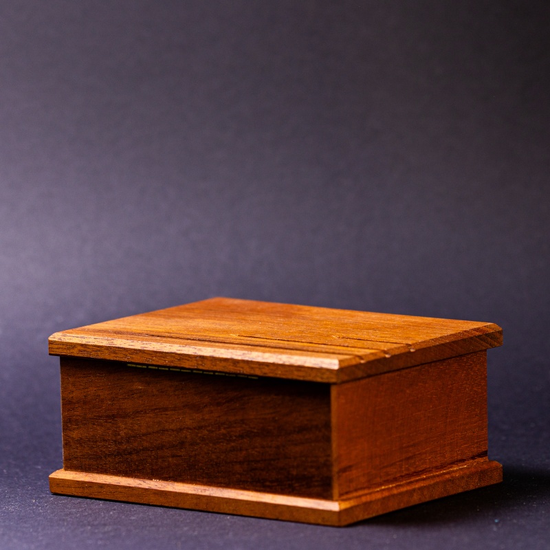 Alice's Puzxlement Puzzle Box by Pentangle