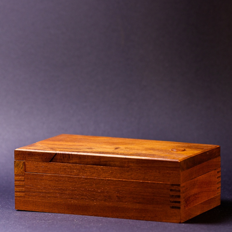 Fort Knox Puzzle Box by Pentangle