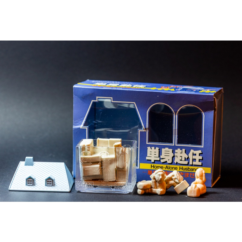 HOME ALONE HUSBAND by Toyo Glass