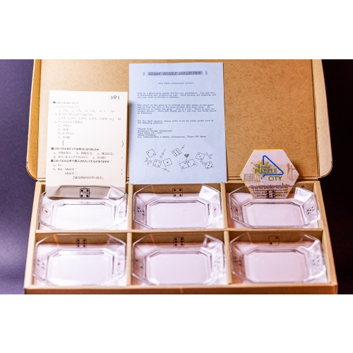 DICE PLATE ( Advanced Level ) by TOYO Glass
