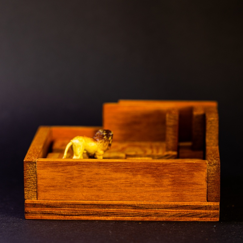 Scott's Tiger Puzzle