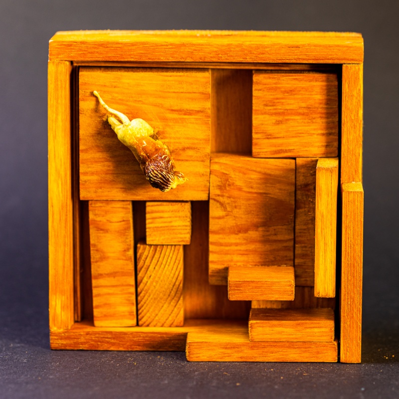 Scott's Tiger Puzzle