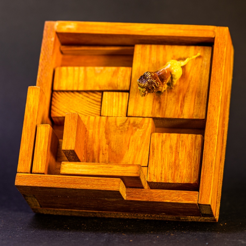 Scott's Tiger Puzzle