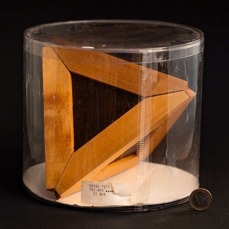 CT 404 Triops by Arjeu