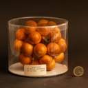 CT 440 – 13cm by Arjeu