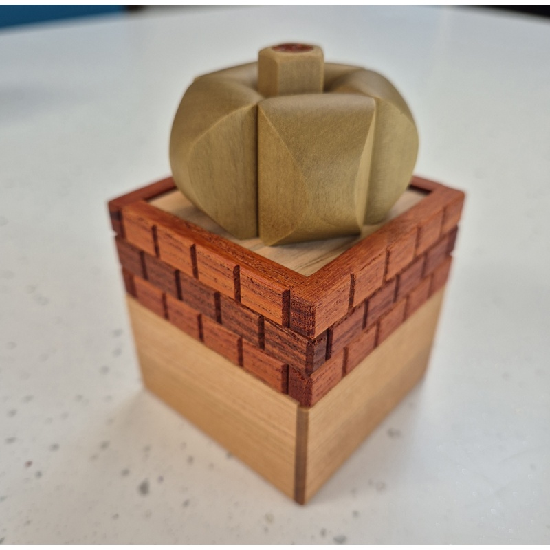 Karakuri - Succulents - Yasuaki Kikuchi