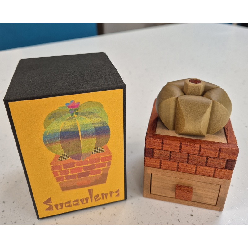 Karakuri - Succulents - Yasuaki Kikuchi