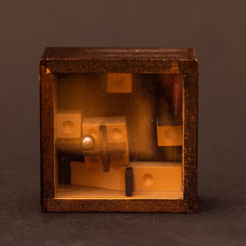 Moving Platform Puzzle from Japan