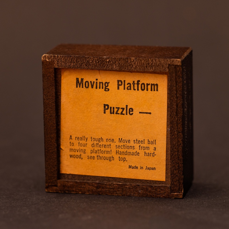 Moving Platform Puzzle from Japan