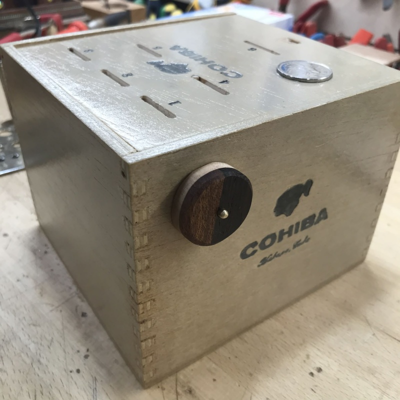 Penny Drop Piggy Bank