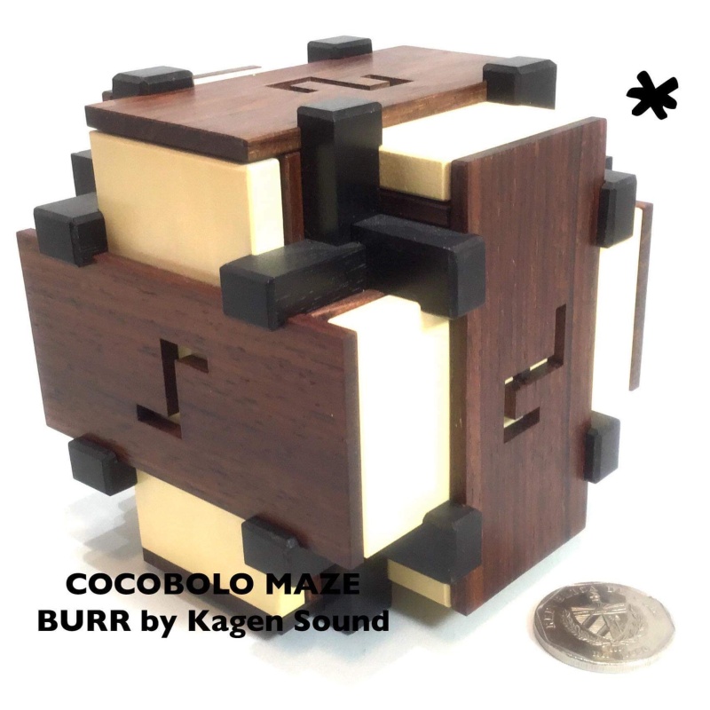 Cocobolo Maze Burr by Kagen Sound