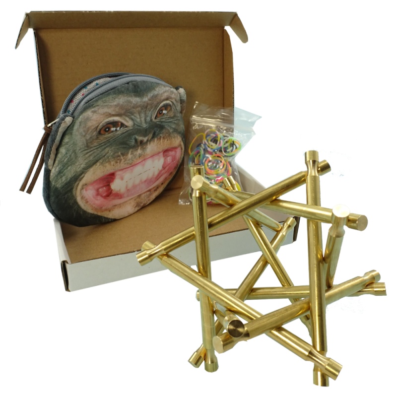 Nova Plexus - Brass Puzzle Sculpture