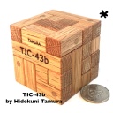 TIC-43b