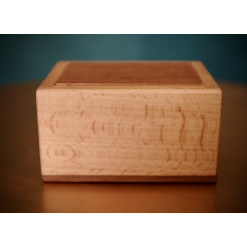 Spirit Box by Dedwood Crafts