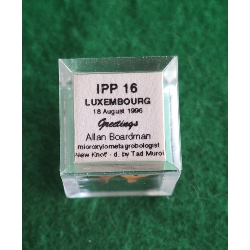 Allan Boardman IPP16 1996 Exchange burr