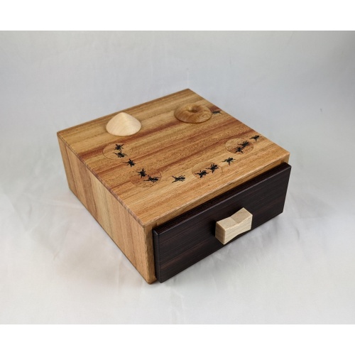 A line of ants (Hiroshi Iwahara , Hideaki Kawashima )