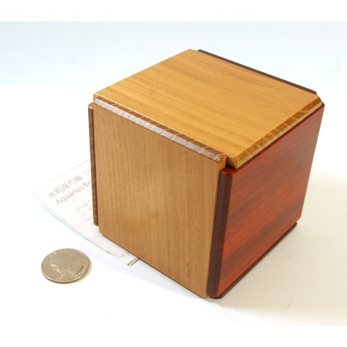 Hiroshi Iwahara - Aquarius Box (small) (2019)