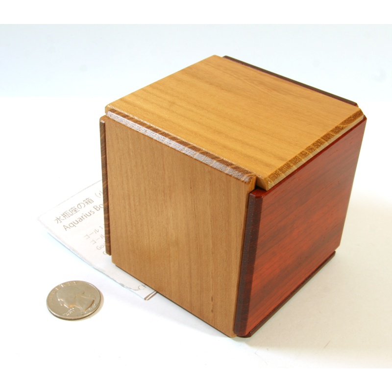 Hiroshi Iwahara - Aquarius Box (small) (2019)
