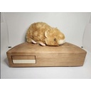 Bad Moon Prototype - Dee Dixon