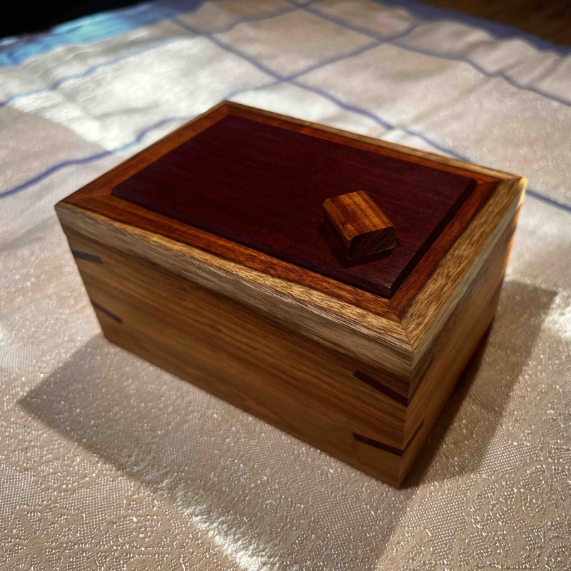 Blinded II - Canary Wood and Purple Heart