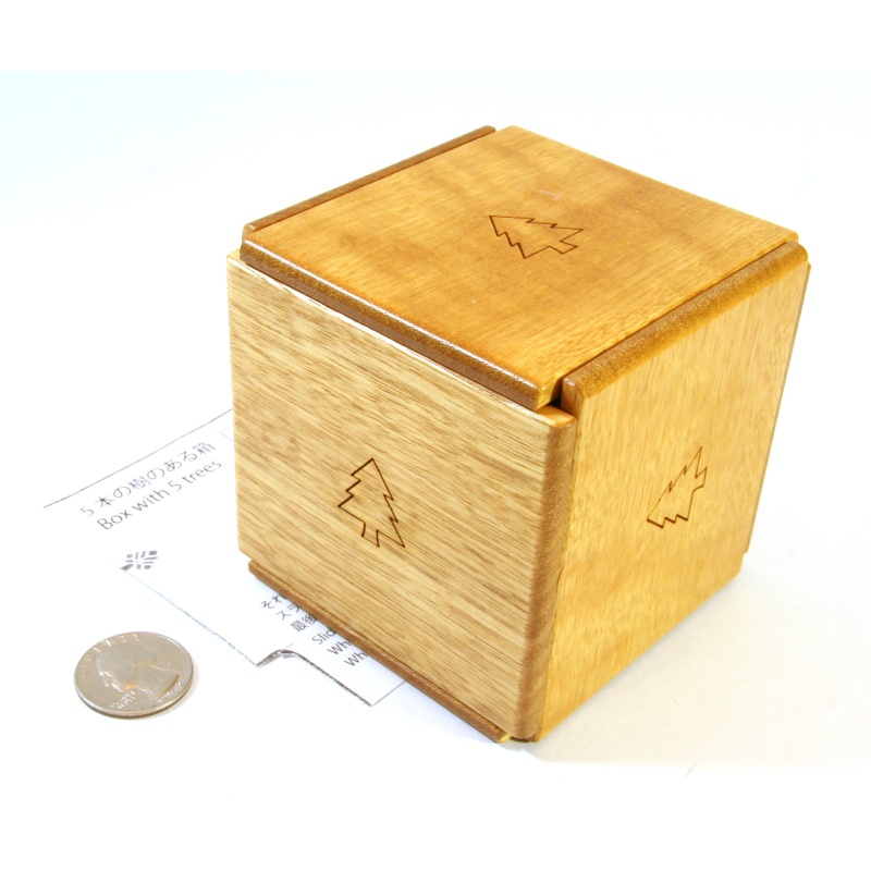 Hiroshi Iwahara - Box With 5 Trees (2018)