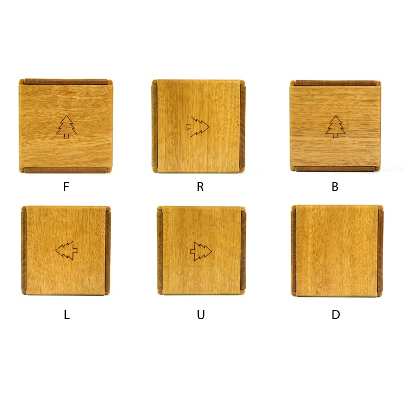 Hiroshi Iwahara - Box With 5 Trees (2018)