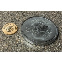 Buffalo Nickel by George Miller