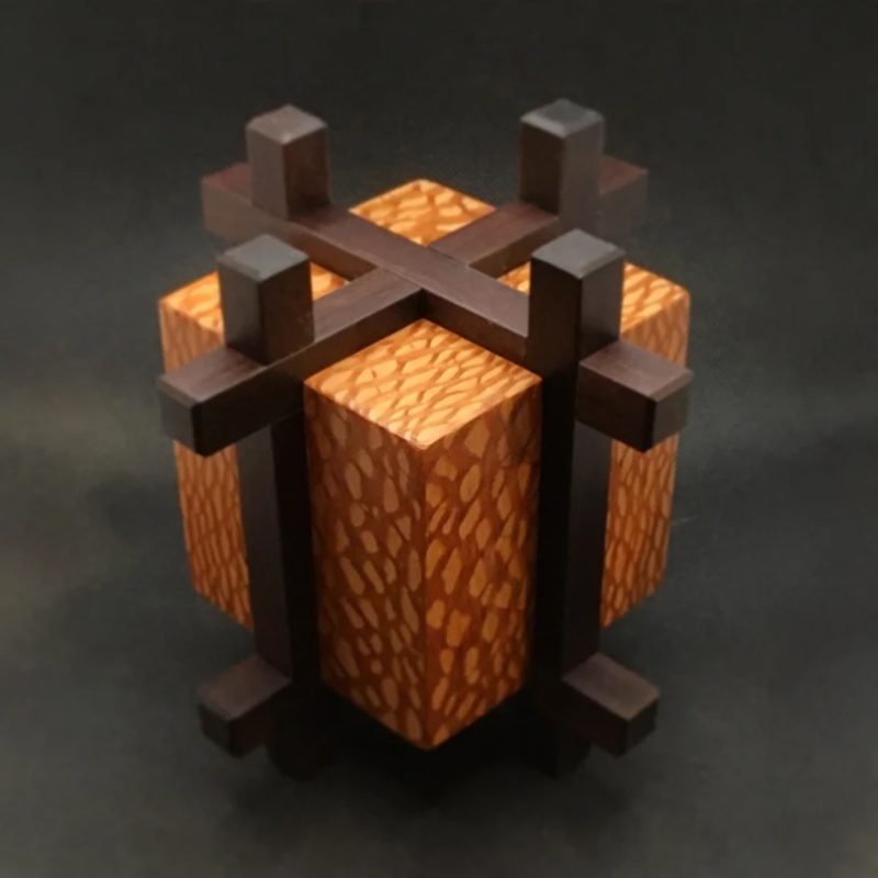 Caged Block Puzzle Box by Bill Sheckels