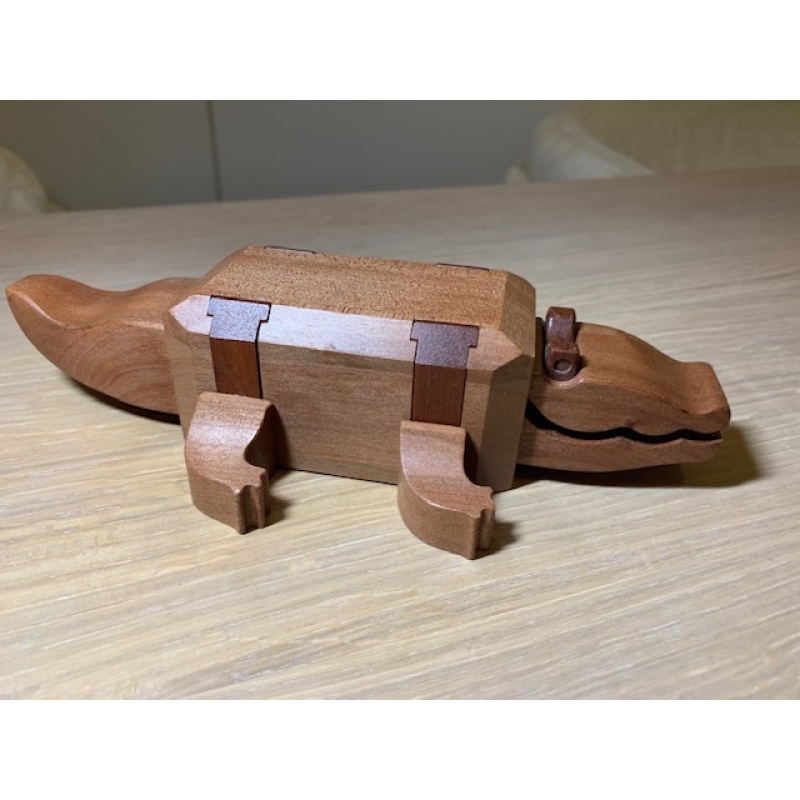 Chubby Crocodile by Juno