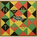 NEW TESA PUZZLE (c) Nob Yoshigahara