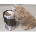 Derek Bosch : Heel lick all bare, too!