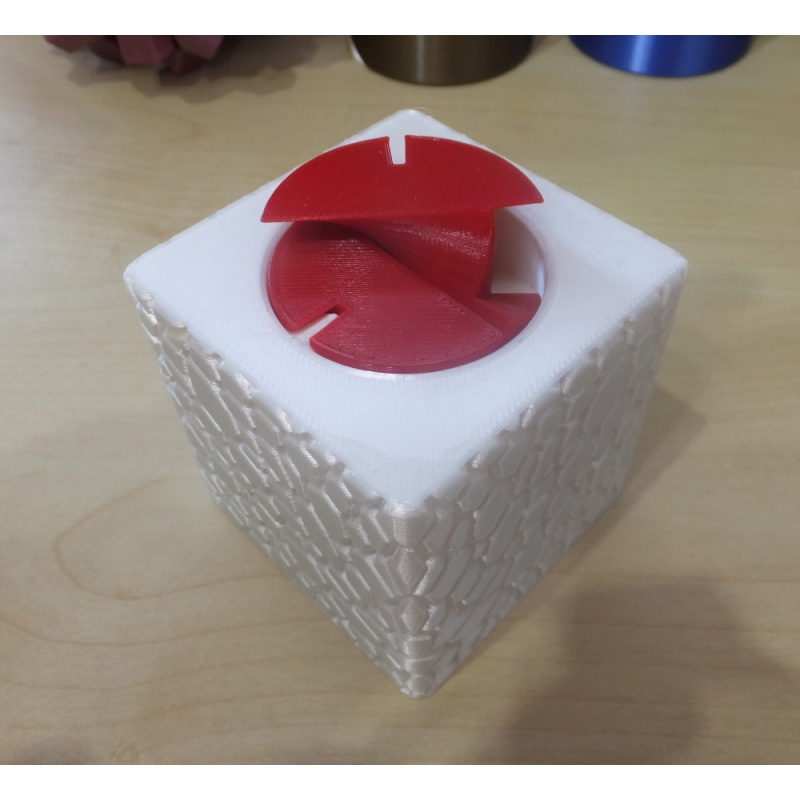 Derek Bosch : Vapors Puzzle